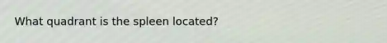 What quadrant is the spleen located?