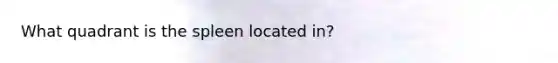 What quadrant is the spleen located in?