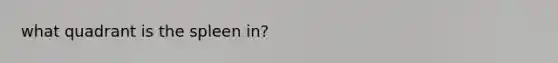 what quadrant is the spleen in?