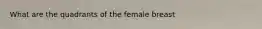 What are the quadrants of the female breast