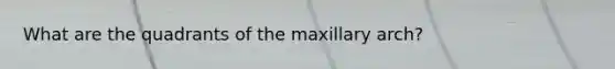 What are the quadrants of the maxillary arch?