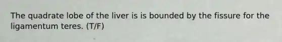 The quadrate lobe of the liver is is bounded by the fissure for the ligamentum teres. (T/F)