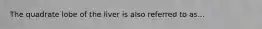 The quadrate lobe of the liver is also referred to as...