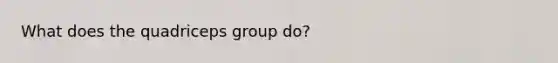 What does the quadriceps group do?