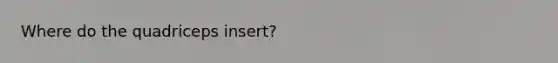 Where do the quadriceps insert?