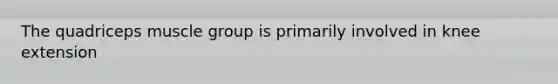 The quadriceps muscle group is primarily involved in knee extension