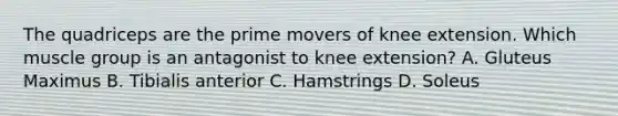 The quadriceps are the prime movers of knee extension. Which muscle group is an antagonist to knee extension? A. Gluteus Maximus B. Tibialis anterior C. Hamstrings D. Soleus