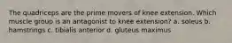 The quadriceps are the prime movers of knee extension. Which muscle group is an antagonist to knee extension? a. soleus b. hamstrings c. tibialis anterior d. gluteus maximus