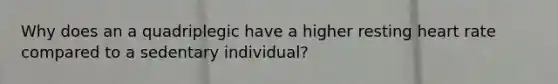 Why does an a quadriplegic have a higher resting heart rate compared to a sedentary individual?