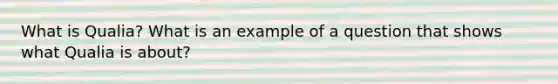 What is Qualia? What is an example of a question that shows what Qualia is about?