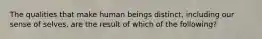 The qualities that make human beings distinct, including our sense of selves, are the result of which of the following?