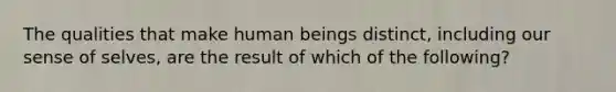 The qualities that make human beings distinct, including our sense of selves, are the result of which of the following?