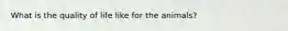 What is the quality of life like for the animals?