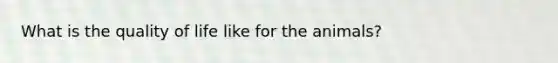 What is the quality of life like for the animals?