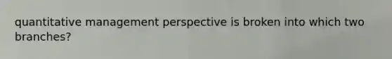 quantitative management perspective is broken into which two branches?