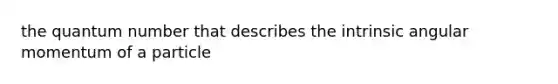 the quantum number that describes the intrinsic angular momentum of a particle