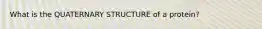 What is the QUATERNARY STRUCTURE of a protein?