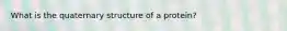 What is the quaternary structure of a protein?