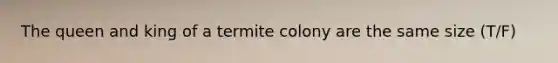 The queen and king of a termite colony are the same size (T/F)