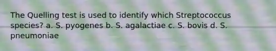 The Quelling test is used to identify which Streptococcus species? a. S. pyogenes b. S. agalactiae c. S. bovis d. S. pneumoniae