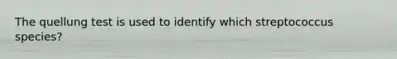 The quellung test is used to identify which streptococcus species?