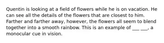 Quentin is looking at a field of flowers while he is on vacation. He can see all the details of the flowers that are closest to him. Farther and farther away, however, the flowers all seem to blend together into a smooth rainbow. This is an example of ___ ___, a monocular cue in vision.