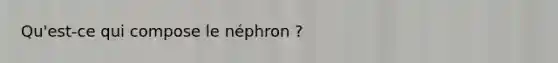 Qu'est-ce qui compose le néphron ?