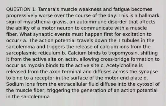 QUESTION 1: Tamara's muscle weakness and fatigue becomes progressively worse over the course of the day. This is a hallmark sign of myasthenia gravis, an autoimmune disorder that affects the ability of a motor neuron to communicate with a muscle fiber. What synaptic events must happen first for excitation to occur? a. The action potential travels down the T tubules in the sarcolemma and triggers the release of calcium ions from the sarcoplasmic reticulum b. Calcium binds to tropomyosin, shifting it from the active site on actin, allowing cross-bridge formation to occur as myosin binds to the active site c. Acetylcholine is released from the axon terminal and diffuses across the synapse to bind to a receptor in the surface of the motor end plate d. Sodium ions from the extracellular fluid diffuse into the cytosol of the muscle fiber, triggering the generation of an action potential in the sarcolemma