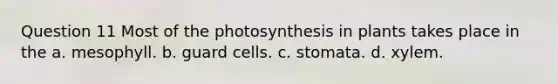 Question 11 Most of the photosynthesis in plants takes place in the a. mesophyll. b. guard cells. c. stomata. d. xylem.