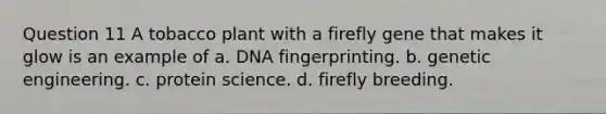 Question 11 A tobacco plant with a firefly gene that makes it glow is an example of a. DNA fingerprinting. b. genetic engineering. c. protein science. d. firefly breeding.