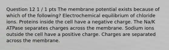 Question 12 1 / 1 pts The membrane potential exists because of which of the following? Electrochemical equilibrium of chloride ions. Proteins inside the cell have a negative charge. The Na/K ATPase separates charges across the membrane. Sodium ions outside the cell have a positive charge. Charges are separated across the membrane.