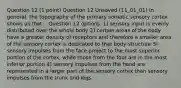 Question 12 (1 point) Question 12 Unsaved (11_01_01) In general, the topography of the primary somatic sensory cortex shows us that... Question 12 options: 1) sensory input is evenly distributed over the whole body 2) certain areas of the body have a greater density of receptors and therefore a smaller area of the sensory cortex is dedicated to that body structure 3) sensory impulses from the face project to the most superior portion of the cortex, while those from the foot are in the most inferior portion 4) sensory impulses from the hand are represented in a larger part of the sensory cortex than sensory impulses from the trunk and legs.