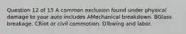 Question 12 of 15 A common exclusion found under physical damage to your auto includes AMechanical breakdown. BGlass breakage. CRiot or civil commotion. DTowing and labor.