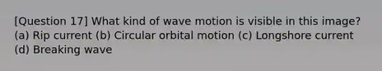 [Question 17] What kind of wave motion is visible in this image? (a) Rip current (b) Circular orbital motion (c) Longshore current (d) Breaking wave