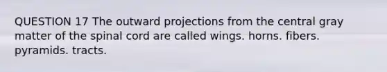 QUESTION 17 The outward projections from the central gray matter of the spinal cord are called wings. horns. fibers. pyramids. tracts.