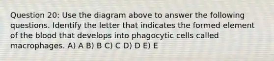 Question 20: Use the diagram above to answer the following questions. Identify the letter that indicates the formed element of the blood that develops into phagocytic cells called macrophages. A) A B) B C) C D) D E) E