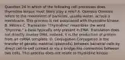 Question 24 In which of the following cell processes does thymidine kinase most likely play a role? A. Osmosis Osmosis refers to the movement of particles, usually water, across a membrane. This process is not associated with thymidine kinase. B. Mitosis C. Translation "Thymidine" resembles the word "thymine," a base typically only present in DNA. Translation does not directly involve DNA; instead, it is the production of protein from an mRNA template. D. Conjugation Conjugation is the transfer of genetic material (plasmids) between bacterial cells by direct cell-to-cell contact or via a bridge-like connection between two cells. This process does not relate to thymidine kinase.