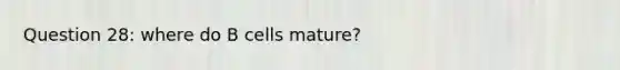 Question 28: where do B cells mature?