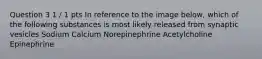 Question 3 1 / 1 pts In reference to the image below, which of the following substances is most likely released from synaptic vesicles Sodium Calcium Norepinephrine Acetylcholine Epinephrine