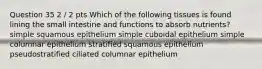 Question 35 2 / 2 pts Which of the following tissues is found lining the small intestine and functions to absorb nutrients? simple squamous epithelium simple cuboidal epithelium simple columnar epithelium stratified squamous epithelium pseudostratified ciliated columnar epithelium