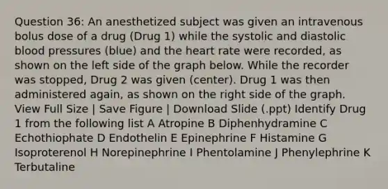 Question 36: An anesthetized subject was given an intravenous bolus dose of a drug (Drug 1) while the systolic and diastolic blood pressures (blue) and the heart rate were recorded, as shown on the left side of the graph below. While the recorder was stopped, Drug 2 was given (center). Drug 1 was then administered again, as shown on the right side of the graph. View Full Size | Save Figure | Download Slide (.ppt) Identify Drug 1 from the following list A Atropine B Diphenhydramine C Echothiophate D Endothelin E Epinephrine F Histamine G Isoproterenol H Norepinephrine I Phentolamine J Phenylephrine K Terbutaline