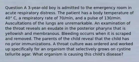 Question A 3-year-old boy is admitted to the emergency room in acute respiratory distress. The patient has a body temperature of 40° C, a respiratory rate of 70/min, and a pulse of 130/min. Auscultations of the lungs are unremarkable. An examination of the throat reveals an exudate in the posterior pharynx that is yellowish and membranous. Bleeding occurrs when it is scraped and removed. The parents of the child reveal that the child has no prior immunizations. A throat culture was ordered and worked up specifically for an organism that selectively grows on cystine tellurite agar. What organism is causing this child's disease?