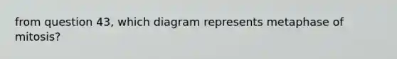 from question 43, which diagram represents metaphase of mitosis?