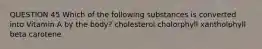 QUESTION 45 Which of the following substances is converted into Vitamin A by the body? cholesterol cholorphyll xantholphyll beta carotene