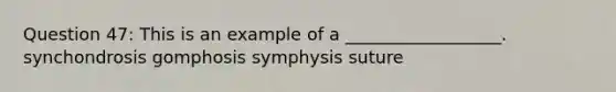 Question 47: This is an example of a __________________. synchondrosis gomphosis symphysis suture