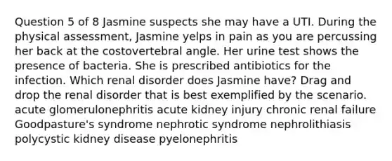 Question 5 of 8 Jasmine suspects she may have a UTI. During the physical assessment, Jasmine yelps in pain as you are percussing her back at the costovertebral angle. Her urine test shows the presence of bacteria. She is prescribed antibiotics for the infection. Which renal disorder does Jasmine have? Drag and drop the renal disorder that is best exemplified by the scenario. acute glomerulonephritis acute kidney injury chronic renal failure Goodpasture's syndrome nephrotic syndrome nephrolithiasis polycystic kidney disease pyelonephritis