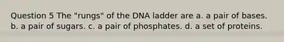 Question 5 The "rungs" of the DNA ladder are a. a pair of bases. b. a pair of sugars. c. a pair of phosphates. d. a set of proteins.