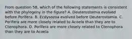 From question 58, which of the following statements is consistent with the phylogeny in the figure? A. Deuterostomia evolved before Porifera. B. Ecdysozoa evolved before Deuterostomia. C. Porifera are more closely related to Acoela than they are to Ctenophora. D. Porifera are more closely related to Ctenophora than they are to Acoela