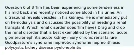 Question 6 of 8 Tim has been experiencing some tenderness in his mid-back and recently noticed some blood in his urine. An ultrasound reveals vesicles in his kidneys. He is immediately put on hemodialysis and discusses the possibility of needing a renal transplant. Which renal disorder does Tim have? Drag and drop the renal disorder that is best exemplified by the scenario. acute glomerulonephritis acute kidney injury chronic renal failure Goodpasture's syndrome nephrotic syndrome nephrolithiasis polycystic kidney disease pyelonephritis