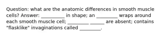 Question: what are the anatomic differences in smooth muscle cells? Answer: __________ in shape; an _________ wraps around each smooth muscle cell; _________ ______ are absent; contains "flasklike" invaginations called _________.